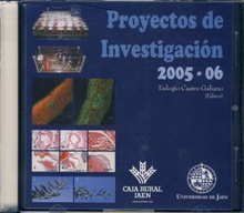 Proyectos de investigación 2005 - 06