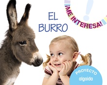 Proyecto "El burro"