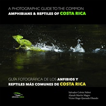 A photographic guide of the common ammphibians & reptiles of Costa Roca / Guía fotográfica de los anfibios y reptiles más comunes de Costa Rica