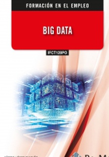 (IFCT128PO) Big Data