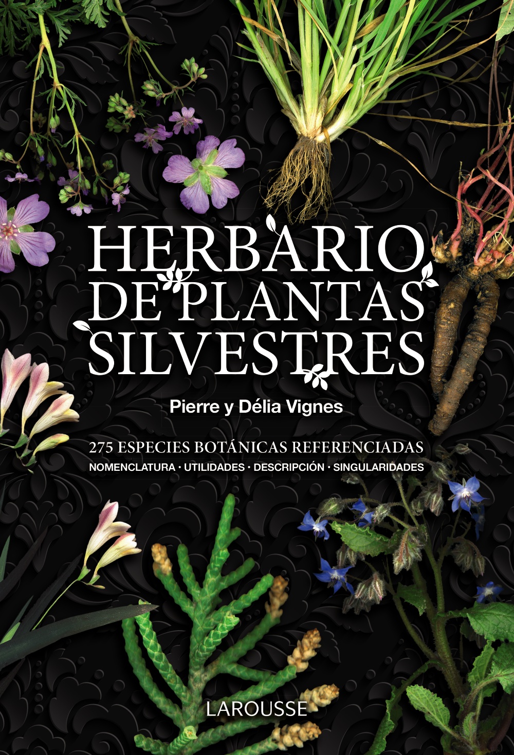 Herbario de plantas silvestres :: Libelista